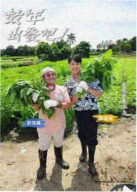 第四站综艺露营